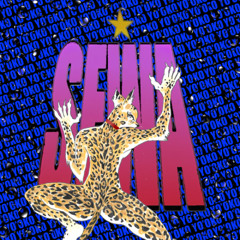 SEWA - Patita Mojada