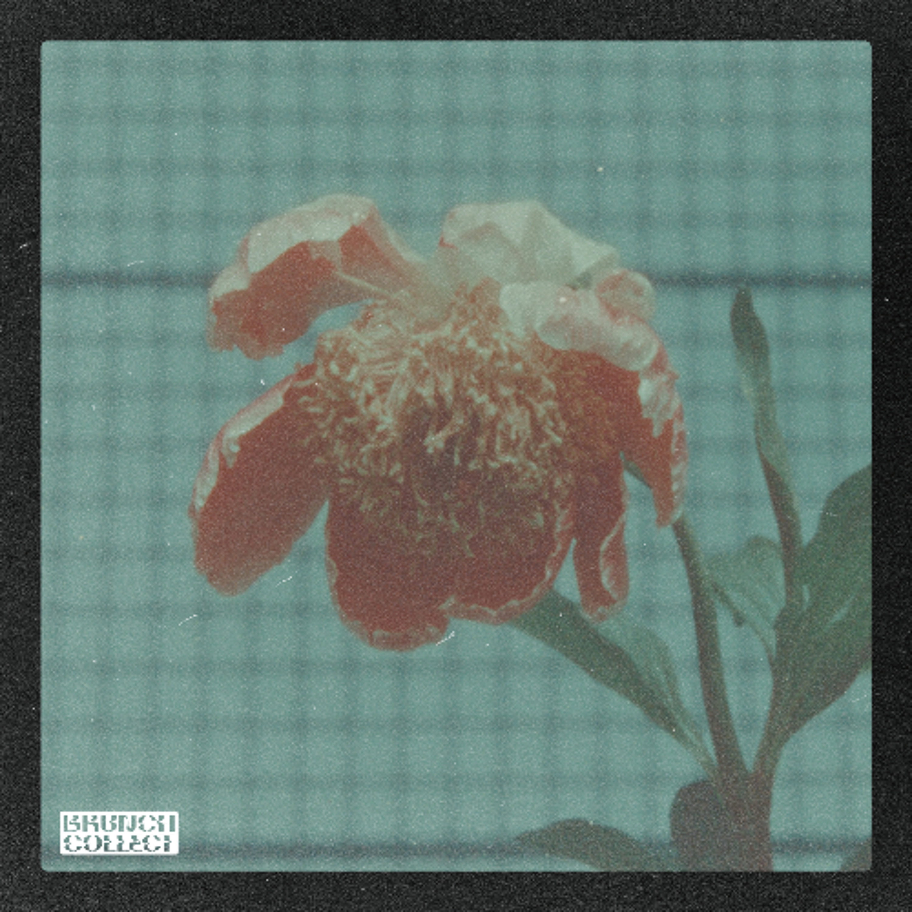 Ben Jammin' Beats x soupduck x Illuzionary - Manifest episode artwork
