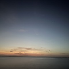 TYRANT (but its just the best part)