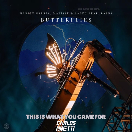 This Is What You Came For (Minetti 'Butterflies' Edit)