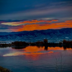 Nourish (Refresh Version)