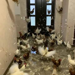 sqid130 - beat my meat @bloodmanifesto