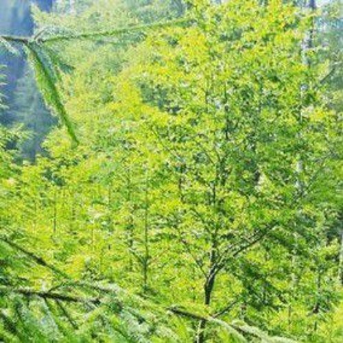 birthday techno mix ^^