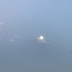 Between the Bars (Elliott Smith cover)