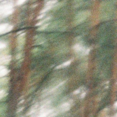 lost demo