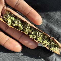 Explit - Downfall (Leak)