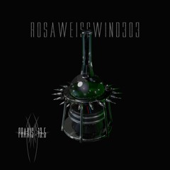 Rosaweisswind303 Praxis13.5 #26