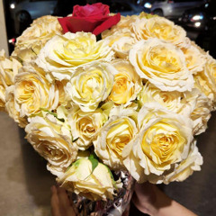 যারে সঁপিলাম এই প্রাণ মন দেহ( আমার পৃথিবীর জন্য গান )