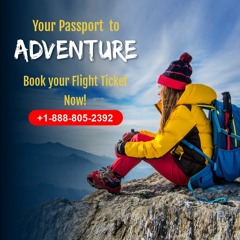 Take Flight Effortlessly, Book Your Ticket With Us!