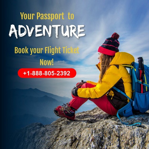 Take Flight Effortlessly, Book Your Ticket With Us!