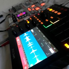 HOUSE SHOES FDT ITP FLIP