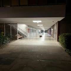 song about some psycho bitch