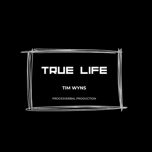 TRUE LIFE - CONTIENT BEAT - RAP HIPHOP - INSTRUMENTALE - 90BPM - TIM WYNS