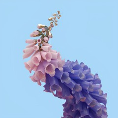 Flume - Never Be Like You (3am Maurice S. Remix) [Afro House]