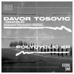 PREMIERE: Davor Tosovic - Polycyclic