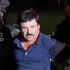 El CHAPO (prod.faint & ok)