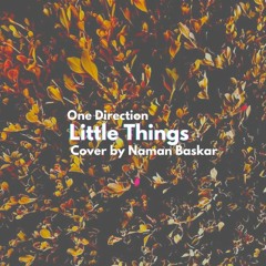 One Directions - Little Things ( Naman Baskar Cover )