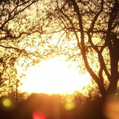 To Close - Anypath Records