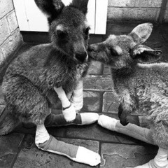 баунти 0 райская накурка ( p. ...shutter )