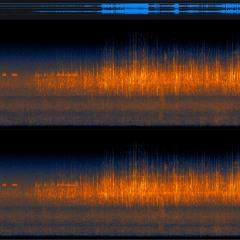 Dawn Chorus 5/19/25 5:33 AM - Jordan Road, Cleves, Ohio