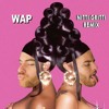 Download Video: WAP (Nitti Gritti Remix)