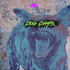 DOG DAYS (DNB SUMMER MIXTAPE 2024) - MIO