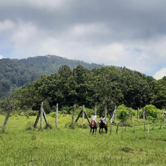 Takkan Ada Cinta Yang Lain - Dewa 19 (Cover by Shinta)