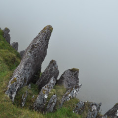 John Brennan's Reel/The Silver Spire