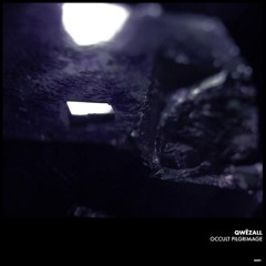 TC Premiere: Qwëzall - Essence Of Disorder [ Immaterial.Archives ]