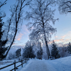 Vad är det vi människor gör