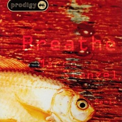 The Prodigy - Breathe (bootleg)