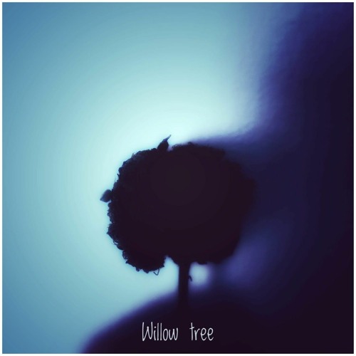 Willow Tree
