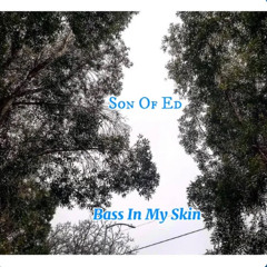 Bass In My Skin