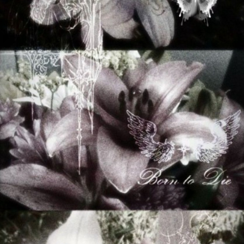 cut u [Prod. WickedGlo]