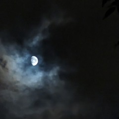 Wasting Time (Waylon Jennings)