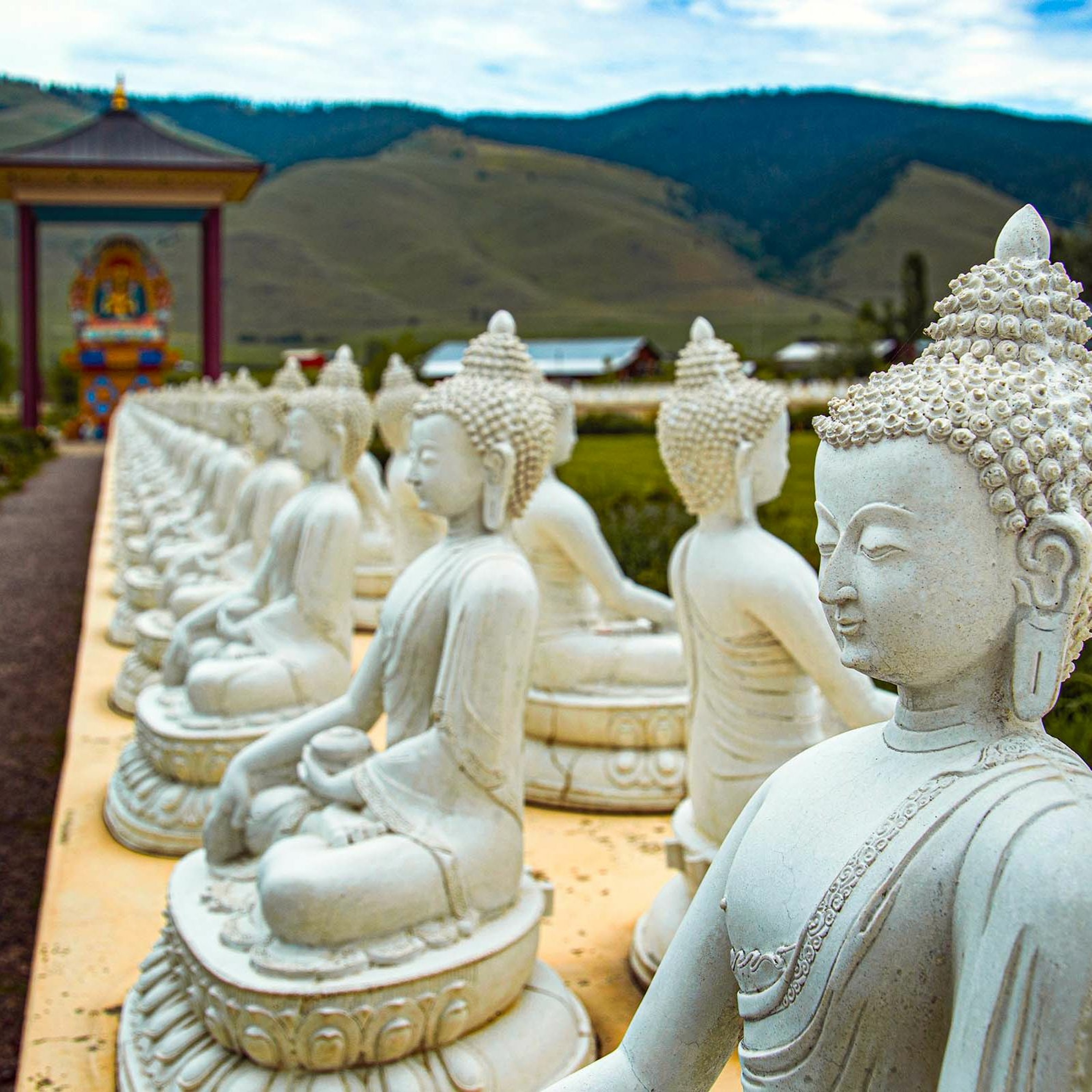 Associazione Kalyanamitta: Meditazione, Mindfulness, Buddhismo