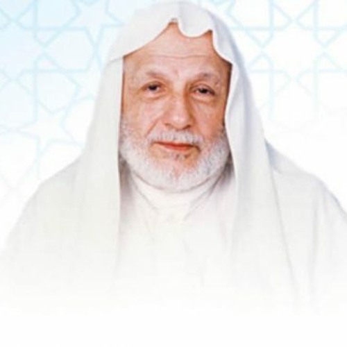 علي الطنطاوي