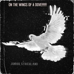 WINGS OF A DOVE!!!!!