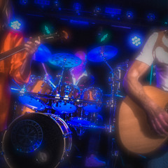 With COVERCATS Livefun 2025