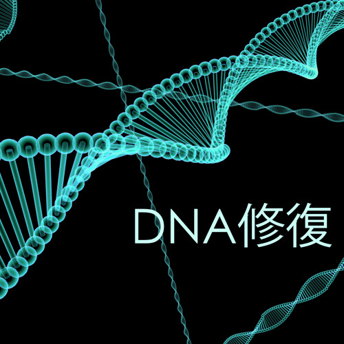 Stream 癒しの音楽 Maestro Listen To Dna修復 癒し系音楽 ソルフェジオ周波数 Playlist Online For Free On Soundcloud
