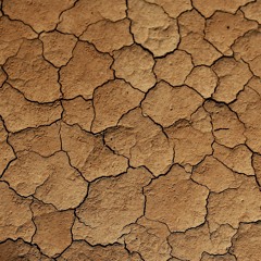 RECHAUFFEMENT CLIMATIQUE voice-over