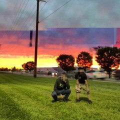 Owls And Other Nocturnal Birds