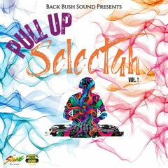 Pull Up Selecta Vol. 1
