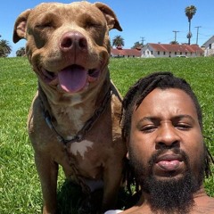 Stoupa Rom za Romem AI verze