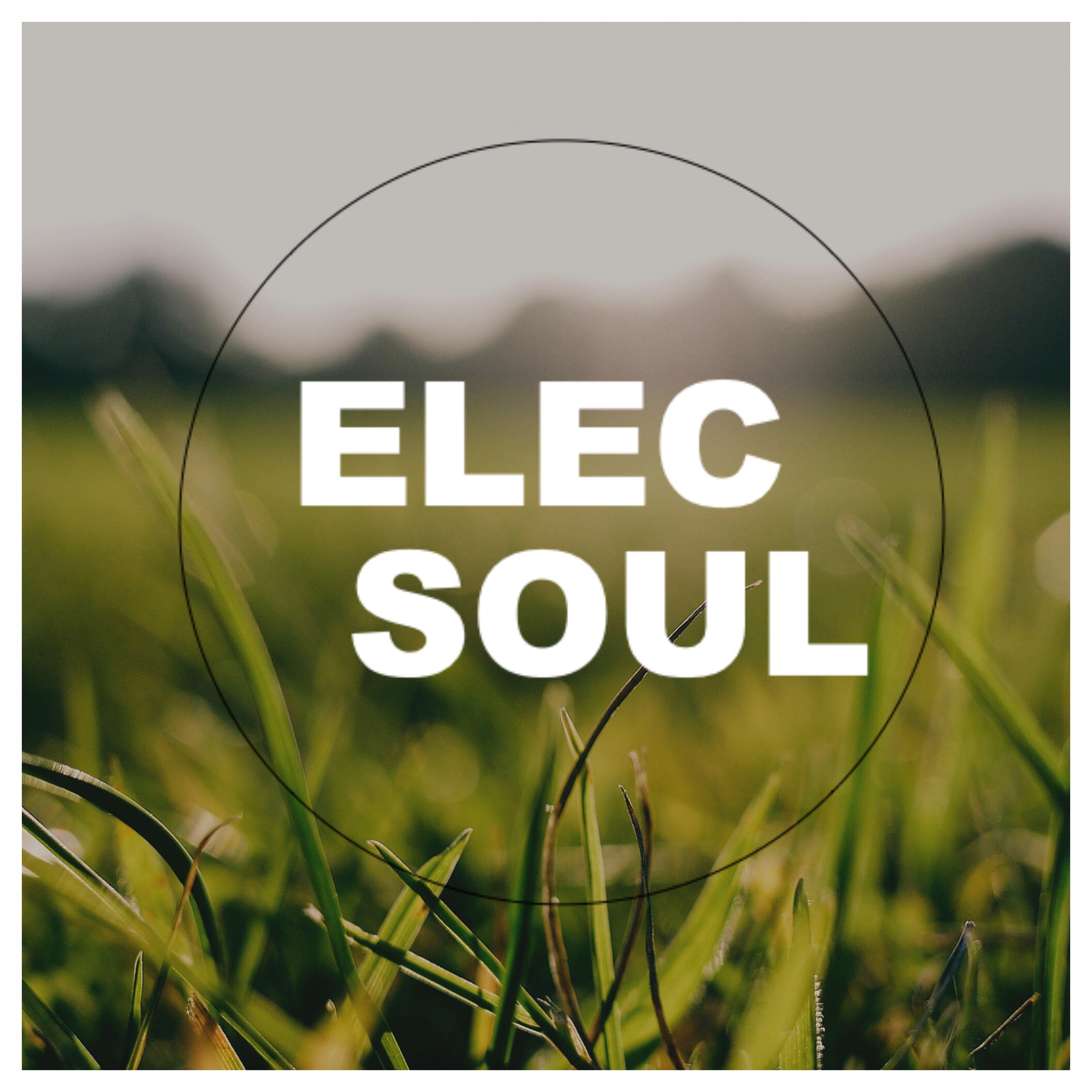 ElecSoul