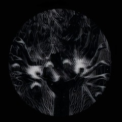 Black Apocalypse - Crimes Against Humanity
