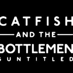 Suntitled - Catfish and the Bottlemen