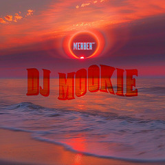 VISION MIX 000