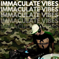 IMMACULATE VIBEZ (RAGGA/JUMP UP - LIVE MIX)