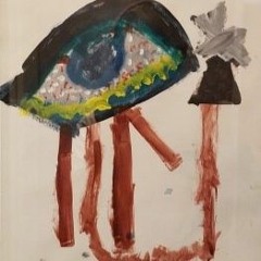 Eye